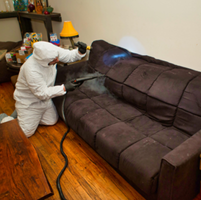 Technician applying high-temperature steam treatment to furniture for bed bug elimination